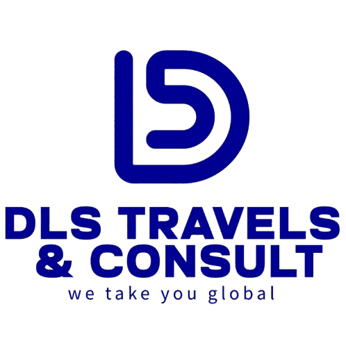 DLS Logo